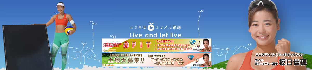 太陽光発電実績No.1エコスマイル
