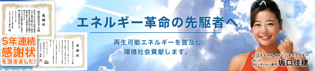 太陽光発電実績No.1エコスマイル