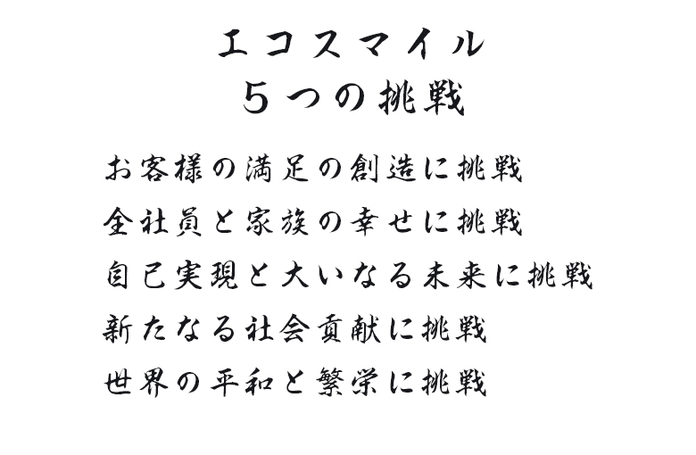 エコスマイル5つの挑戦