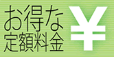 お得な定額料金
