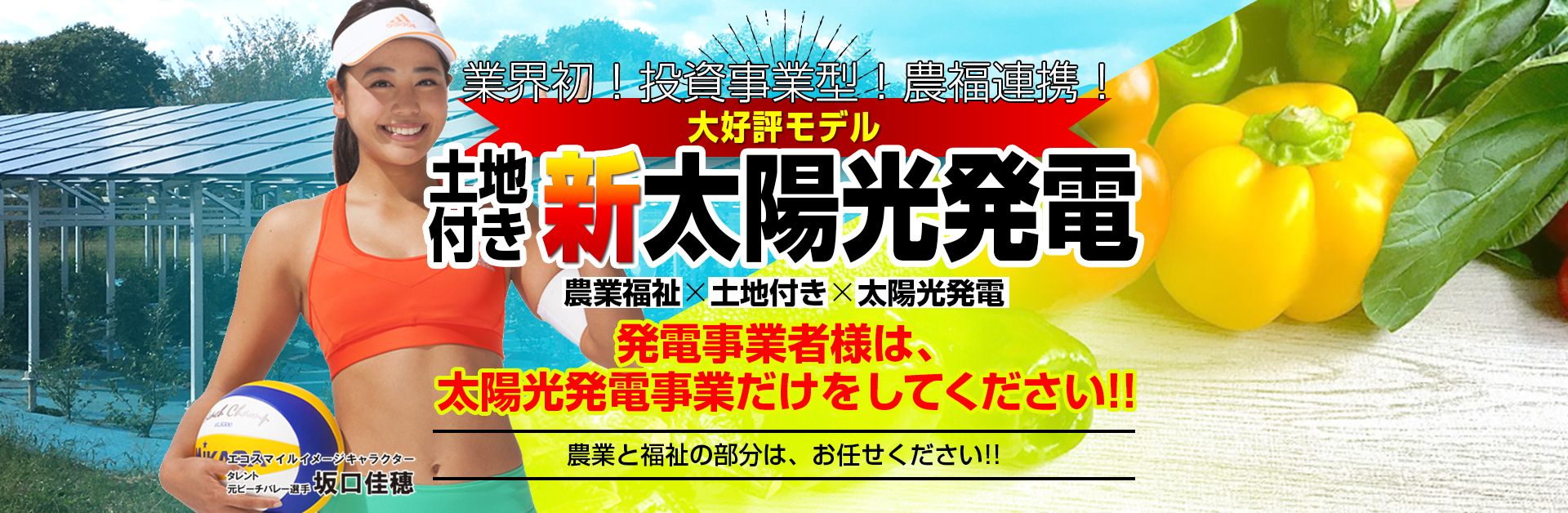 これからの太陽光発電。自家消費型太陽光発電・自己託送型太陽光発電