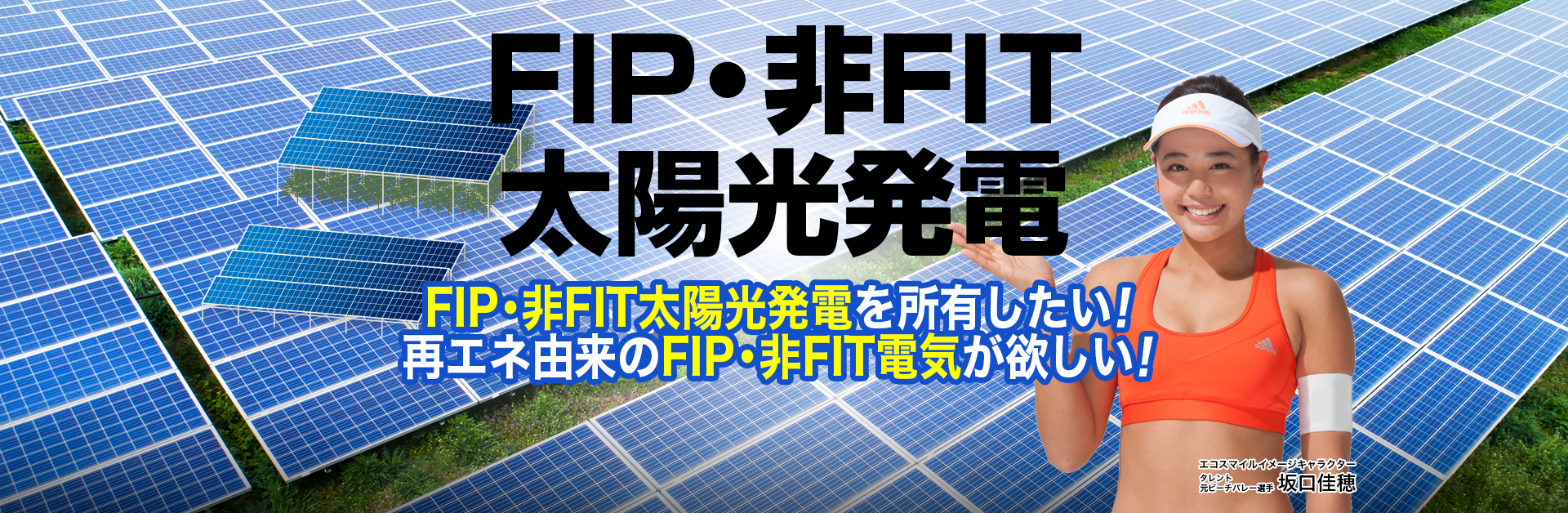 非FIT太陽光発電